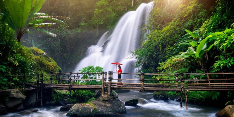 Dandenong Ranges & Puffing Billy Tour